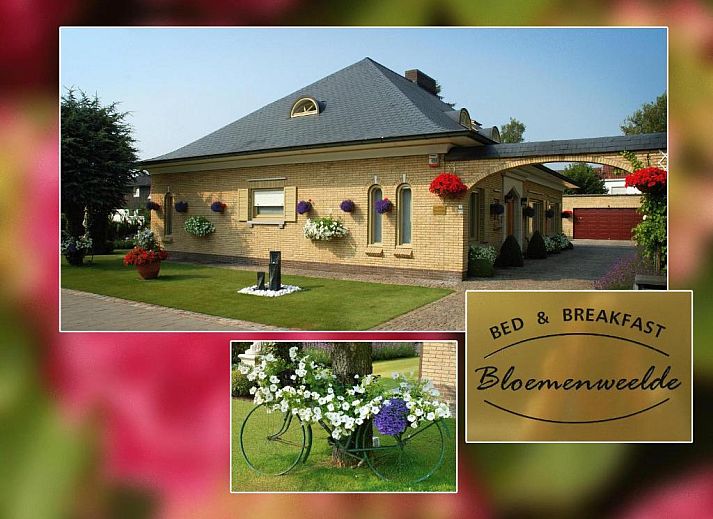 Verblijf 140110 • Bed and breakfast West-Vlaanderen • B&B Bloemenweelde