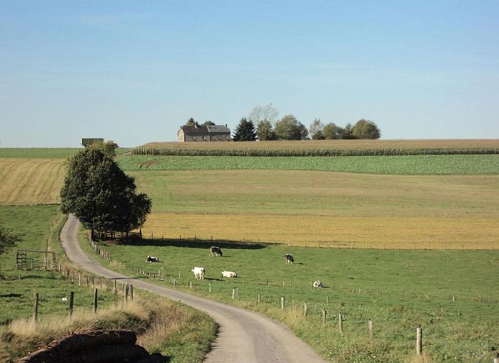 Guest house 3060915 - Bed and Breakfast Luxembourg - B&B La Niouche