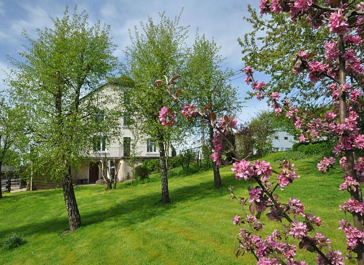 Verblijf 3270901 - Bed and breakfast Ardennen (Luxemburg) - B&B Le Verger du Pierroy