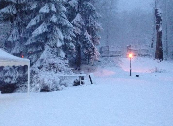 Verblijf 340620 - Bed and breakfast Ardennen (Luik) - B&B La Source de la Géronstère