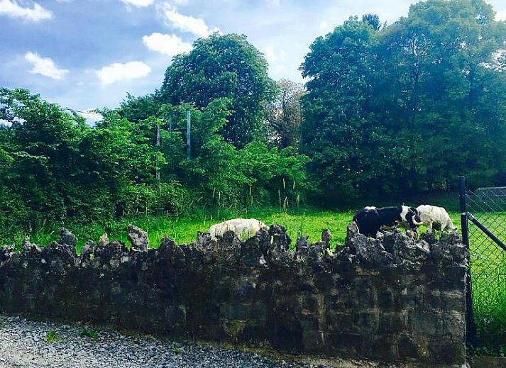 Guest house 3420602 - Bed and Breakfast Luxembourg - B&B Le Notaire