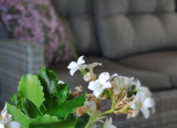 Verblijf 370702 - Bed and breakfast Henegouwen - B&B Aquavert & Wellness