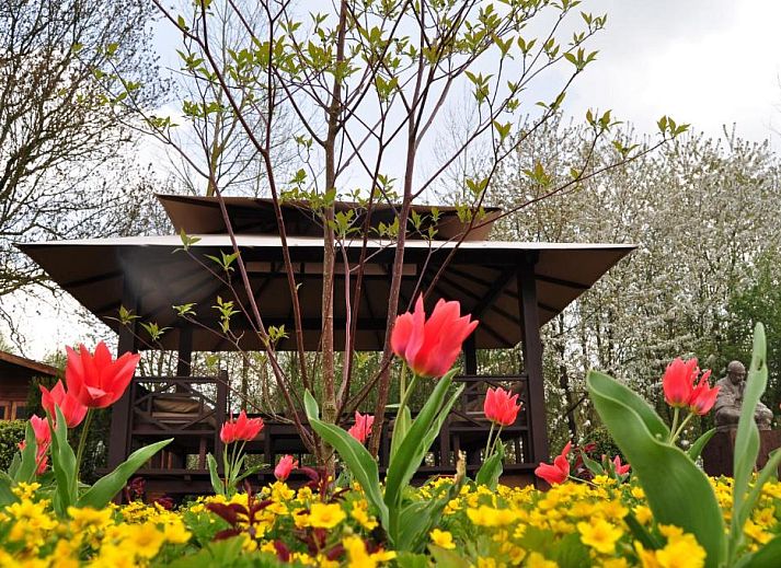 Guest house 660201 • Bed and Breakfast East Flanders • B&B Latemberg