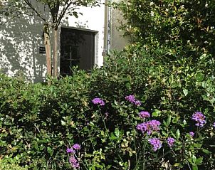 Verblijf 0101203 - Bed and breakfast West-Vlaanderen - B&B The Herring's Residence