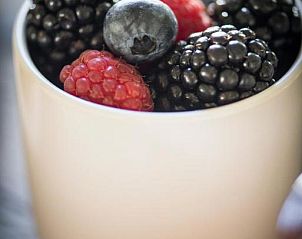 Verblijf 0101203 - Bed and breakfast West-Vlaanderen - B&B The Herring's Residence