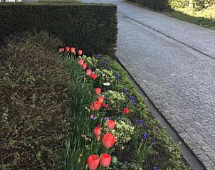 Verblijf 0101239 - Bed and breakfast West-Vlaanderen - B&B Het Colettientje