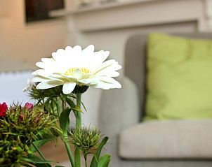 Verblijf 0101254 - Bed and breakfast West-Vlaanderen - B&B Alphabet - Luxury Guesthouse and Art Gallery