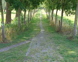 Pittoreske wandelpad nabij Bonvena bed and breakfast in Dentergem, omringd door natuur.