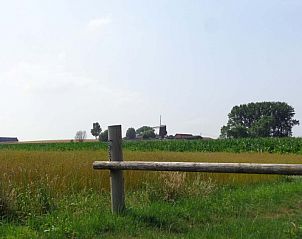 Uitzicht over het platteland nabij Bonvena bed and breakfast in Dentergem, met een windmolen in de verte.