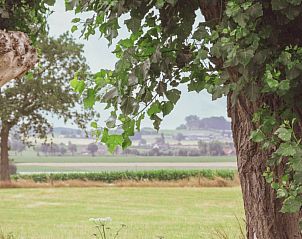 Prachtig uitzicht op het Vlaamse landschap rondom Landgoed Argiliere, bed and breakfast in Poperinge.