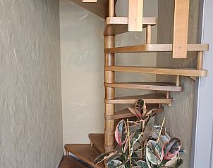 Houten wenteltrap in BeautyD-Logies-Wellness, bed and breakfast in Gullegem, West-Vlaanderen met decoratieve plant.