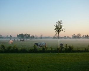 Prachtig uitzicht op de weidse natuur bij den Levensstroom, bed and breakfast in Stavele, West-Vlaanderen, Belgi.