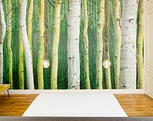 Verblijf 031227 - Bed and breakfast Regio Brussel - B&B DRUUM