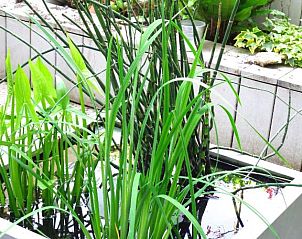 Verblijf 031229 - Bed and breakfast Regio Brussel - B&B La Chambre du Zodiaque