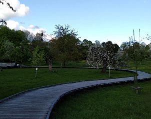 Rustige wandelpaden in de natuur rondom De Lodge bed and breakfast in Grote-Spouwen, Limburg, omgeven door bloeiende bomen.