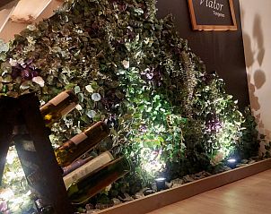 Verblijf 0523803 - Bed and breakfast Limburg - B&B Viator Tongeren