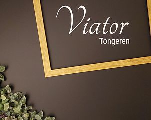 Verblijf 0523803 - Bed and breakfast Limburg - B&B Viator Tongeren