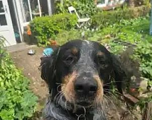 Verblijf 053007 - Bed and breakfast Limburg - Stay with the artist