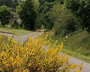 Verblijf 093406 - Bed and breakfast Ardennen (Luxemburg) - Vakantiehuis in Bertogne