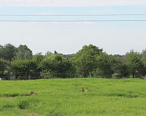 Verblijf 1000201 - Bed and breakfast Oost-Vlaanderen - De Perenboom