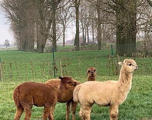 Verblijf 1080101 - Bed and breakfast West-Vlaanderen - B&B De Rentmeesterhoeve