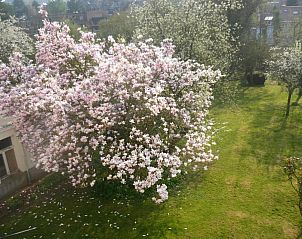 Verblijf 1212262 - Bed and breakfast Regio Brussel - B&B Le Verger