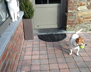 Verblijf 3060915 - Bed and breakfast Ardennen (Luxemburg) - B&B La Niouche