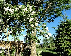 Verblijf 3060915 - Bed and breakfast Ardennen (Luxemburg) - B&B La Niouche