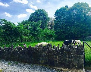 Verblijf 3420602 - Bed and breakfast Ardennen (Luxemburg) - B&B Le Notaire
