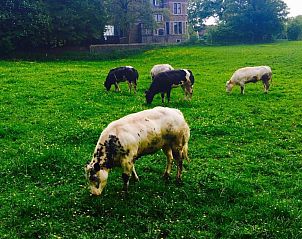 Verblijf 3420602 - Bed and breakfast Ardennen (Luxemburg) - B&B Le Notaire