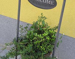 Verblijf 500502 - Bed and breakfast Limburg - B&B Het Uilennest