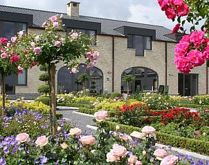 Guest house 610202 • Bed and Breakfast East Flanders • B&B La Vie En Roses 