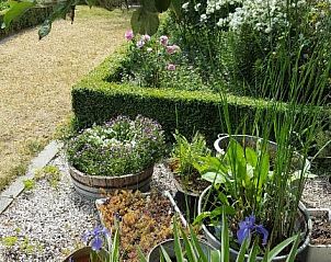 Verblijf 630201 - Bed and breakfast Oost-Vlaanderen - B&B La Clé du Sud