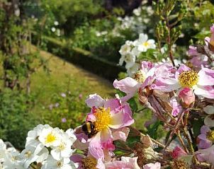 Verblijf 630201 - Bed and breakfast Oost-Vlaanderen - B&B La Clé du Sud