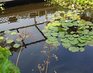 Verblijf 630201 - Bed and breakfast Oost-Vlaanderen - B&B La Clé du Sud