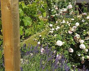 Verblijf 630201 - Bed and breakfast Oost-Vlaanderen - B&B La Clé du Sud